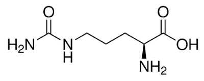 Citrulline_formula