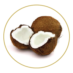CoconutWater_img1